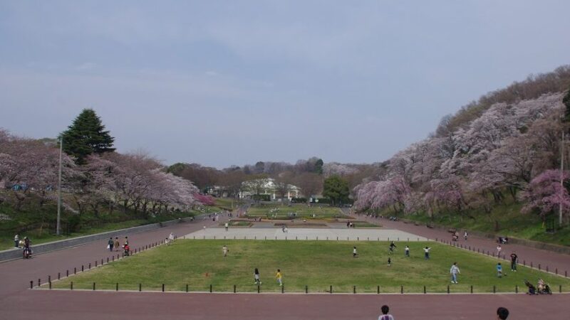 こどもの国（神奈川県）