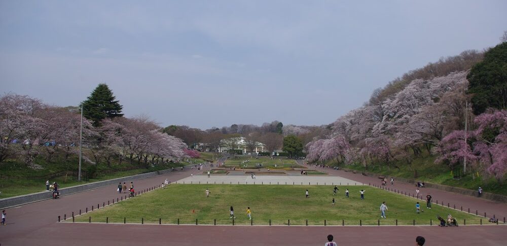Kodomo no Kuni (Kanagawa Prefecture)