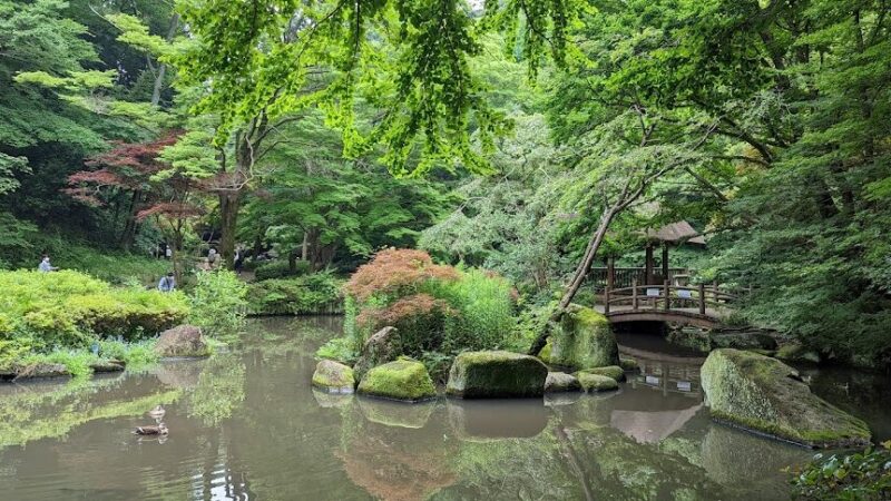 神奈川県立東高根森林公園