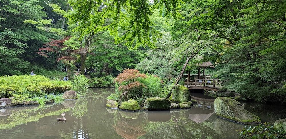 神奈川县立东高根森林公园