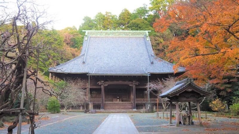 妙本寺（神奈川県）