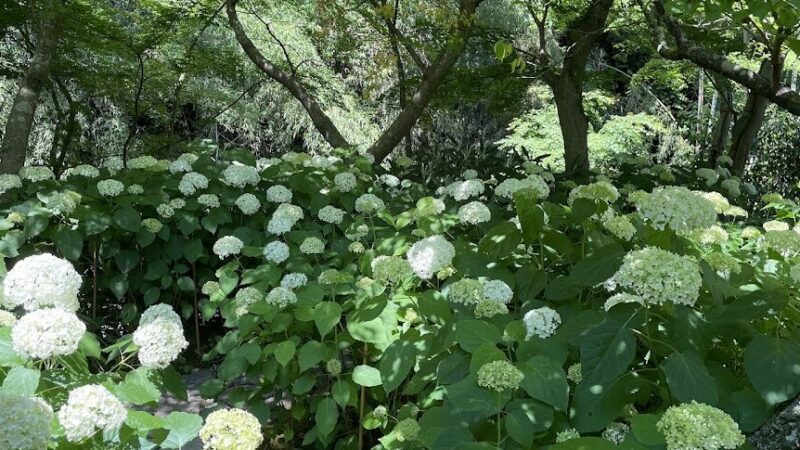 一条恵観山荘（神奈川県）