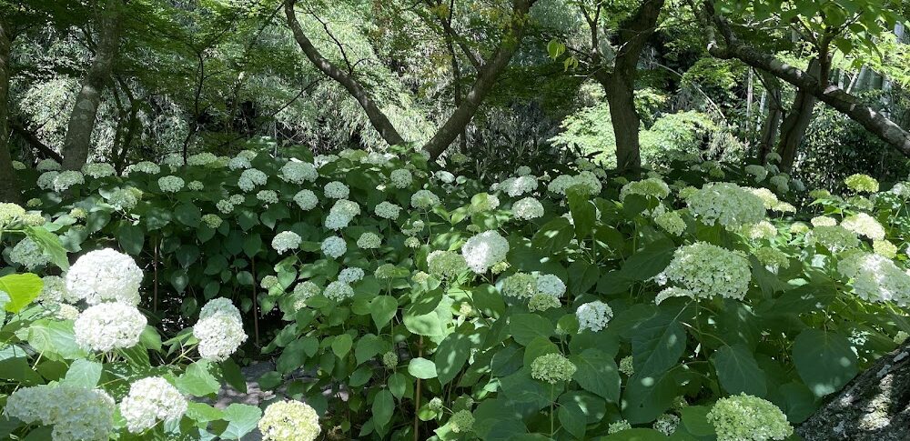 一条恵観山荘（神奈川県）