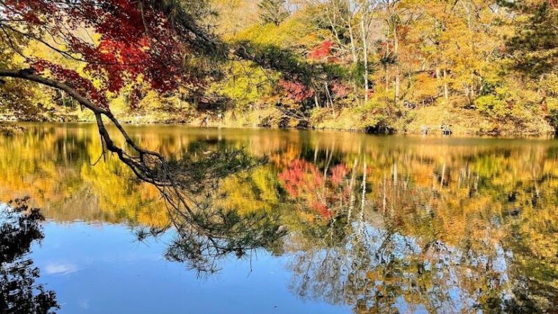 震生湖（神奈川県）