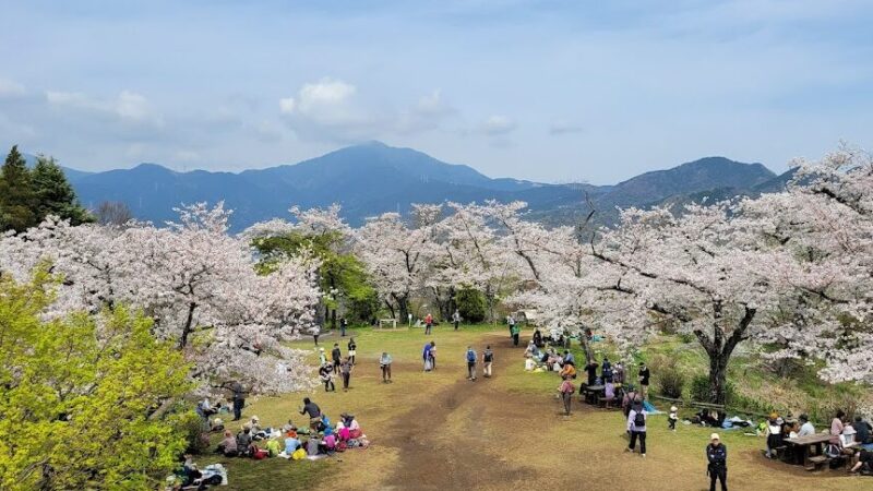 弘法山公園（神奈川県）