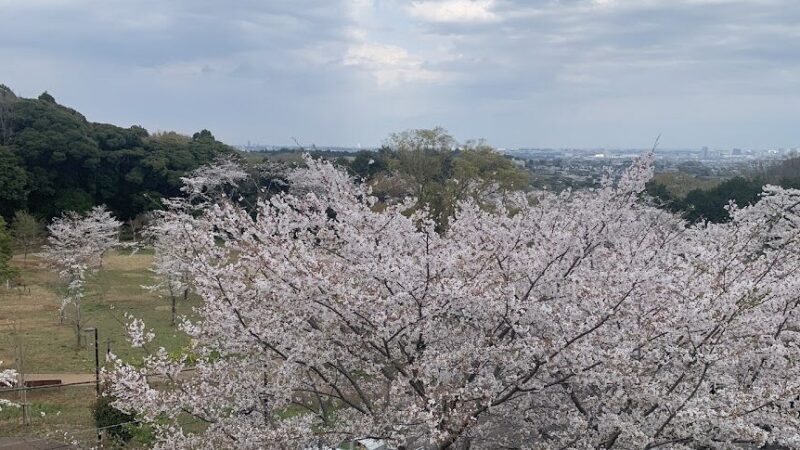 飯山白山森林公園（神奈川県厚木市）