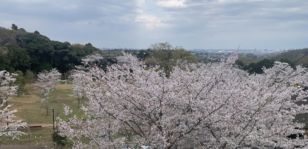 飯山白山森林公園（神奈川県厚木市）
