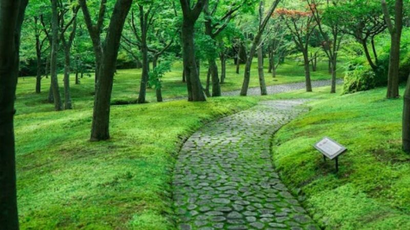 箱根美術館（神奈川県）