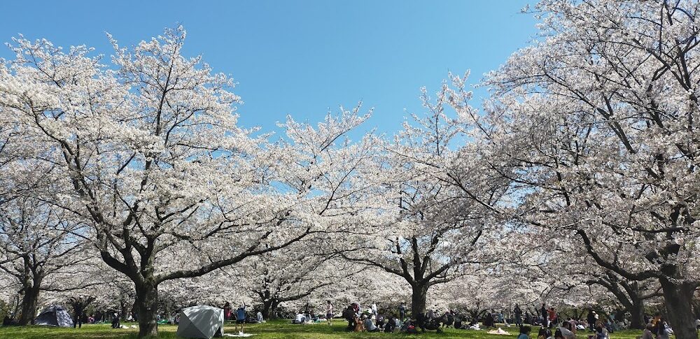 青葉の森公園（千葉県）