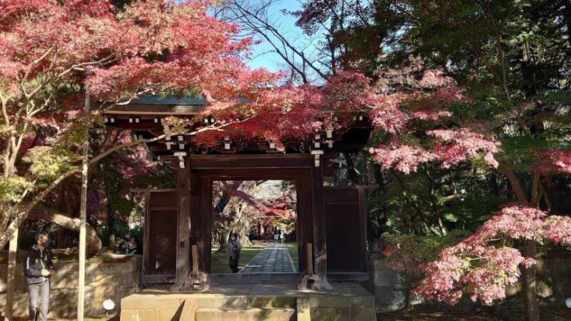東漸寺（千葉県松戸市）