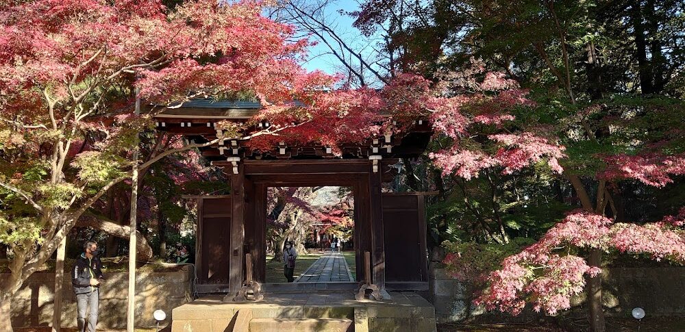 동점사(千葉県松戸市)