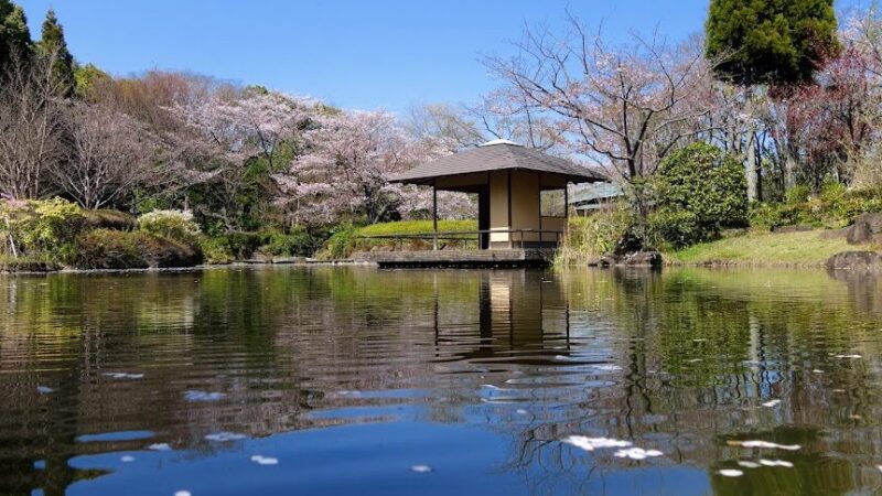 千葉県立柏の葉公園