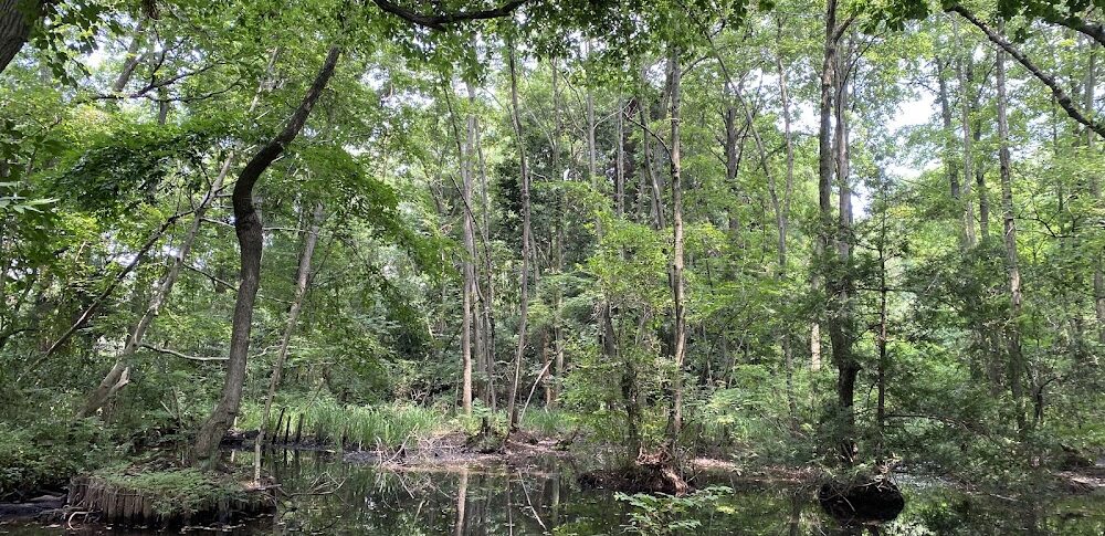 こんぶくろ池自然博物公園（千葉県）