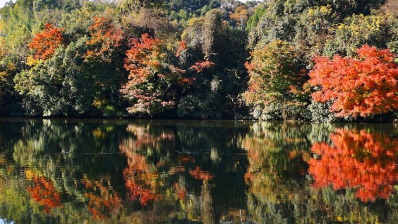 亀山湖（千葉県）