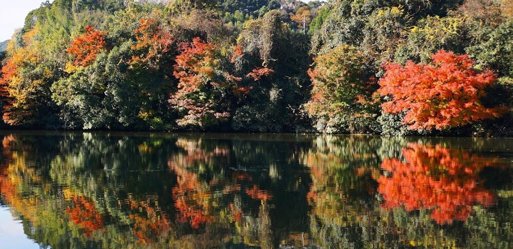 亀山湖（千葉県）