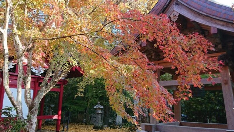 小松寺（千葉県）