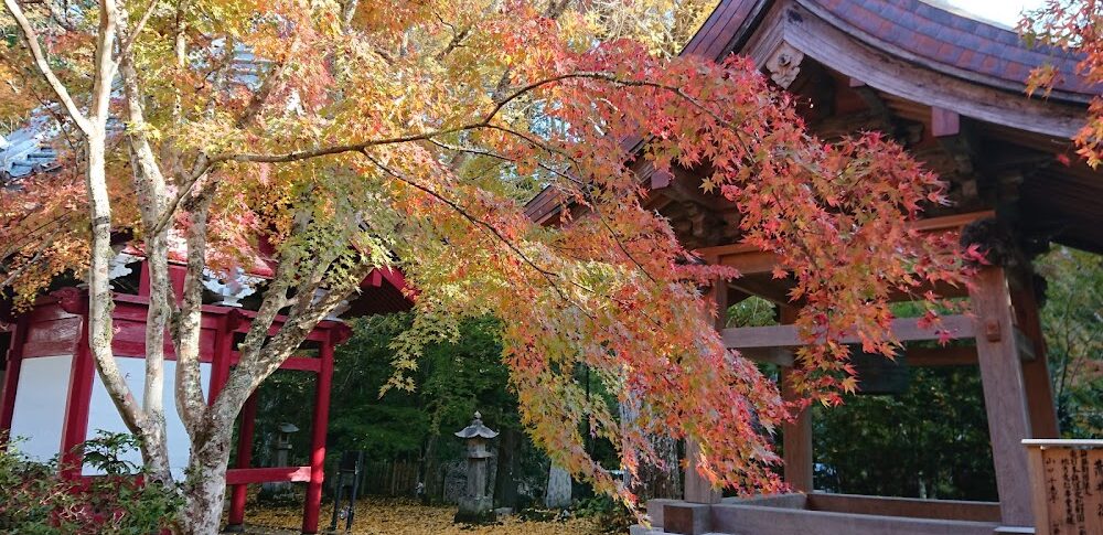 小松寺（千葉県）