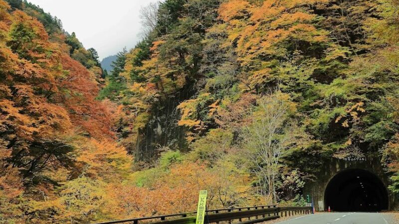 中津峡（埼玉県）