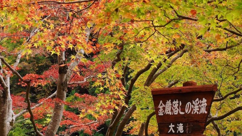 大血川渓谷・金蔵落し（埼玉県）