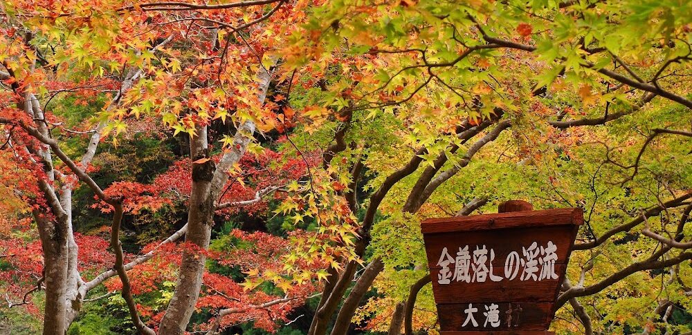 大血川峡谷·金库落（埼玉县）