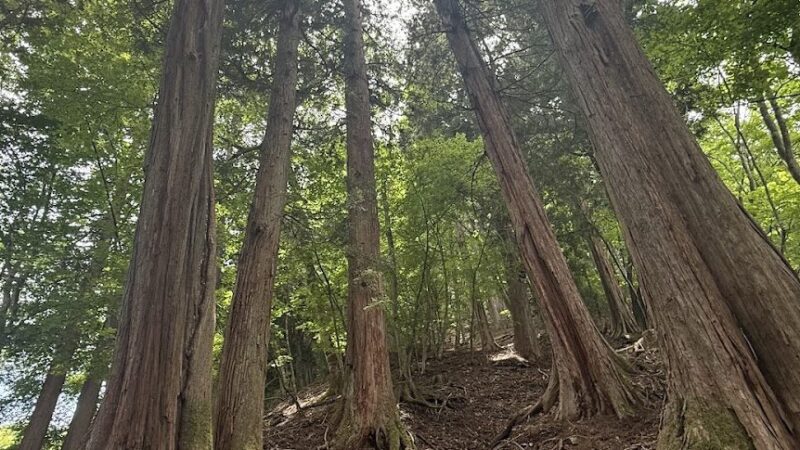三峰山（埼玉県）