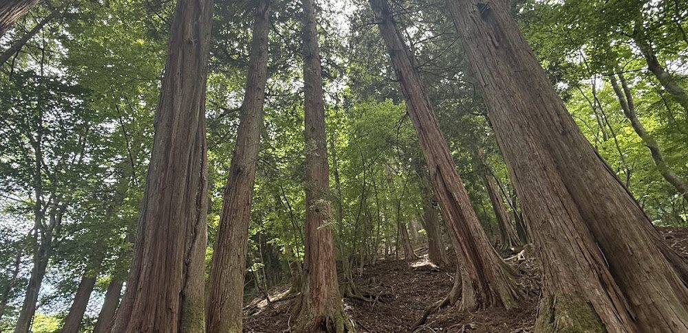 三峰山（埼玉県）