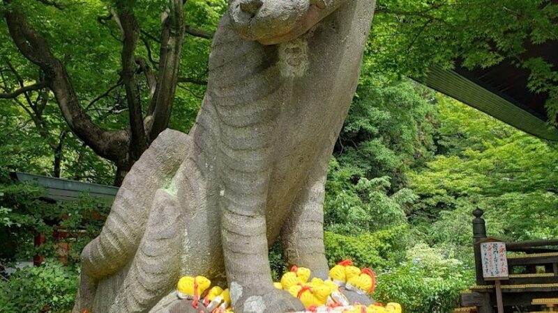 多聞院（埼玉県）