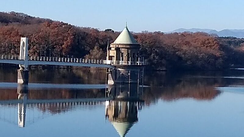 狭山湖・山口貯水池（埼玉県）