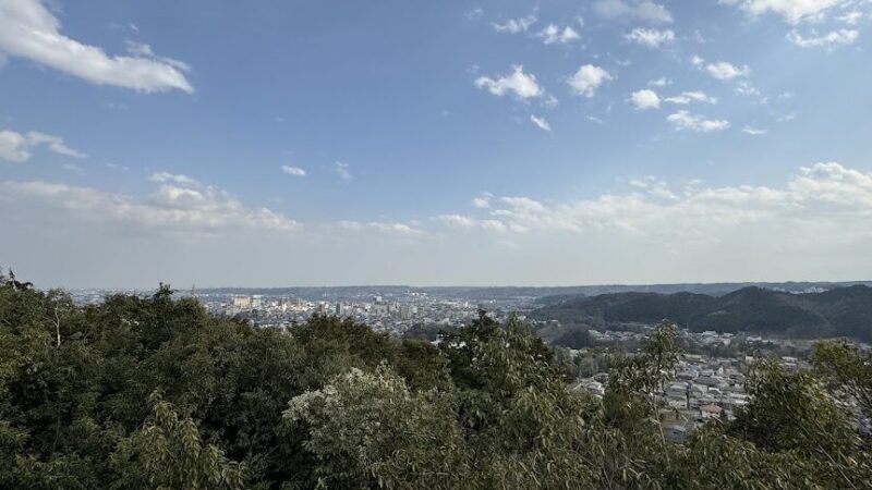 天覧山（埼玉県）
