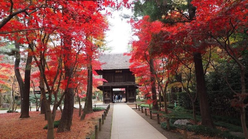 平林寺（埼玉県新座市）