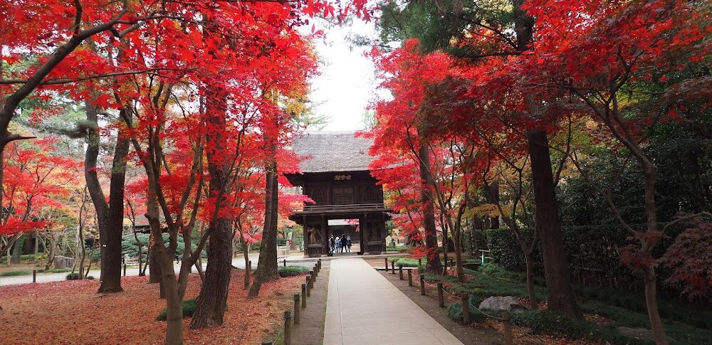 平林寺（埼玉県新座市）