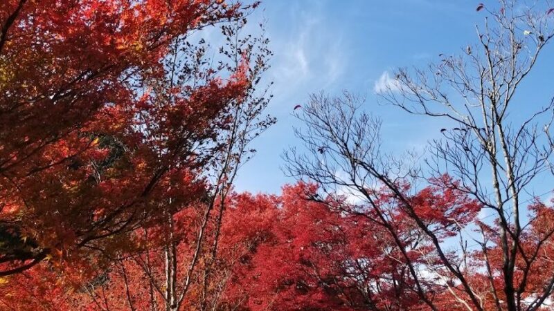 城峯公園（埼玉県）