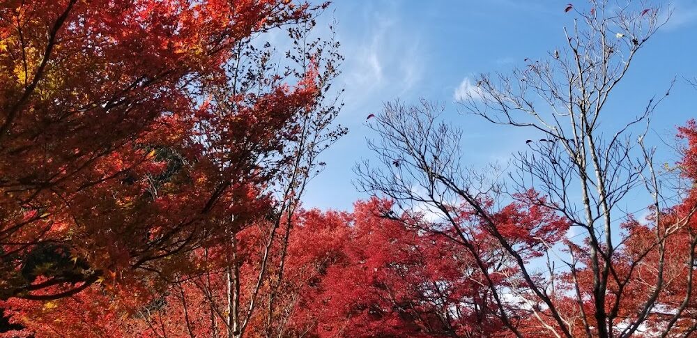 城峯公園（埼玉県）