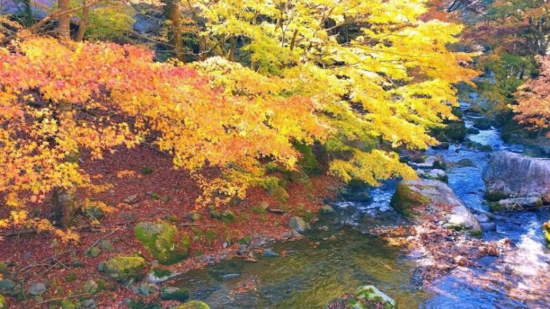桐生川上流(群馬県)