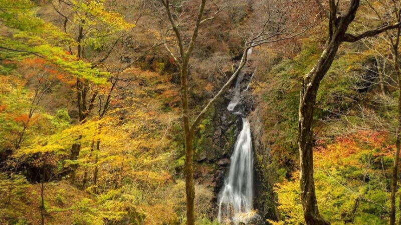 小中大滝（群馬県）