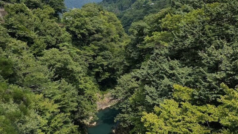 国指定名勝 吾妻峡（群馬県）