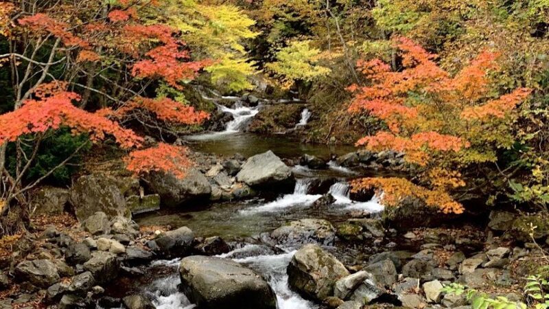 照葉峡（群馬県）