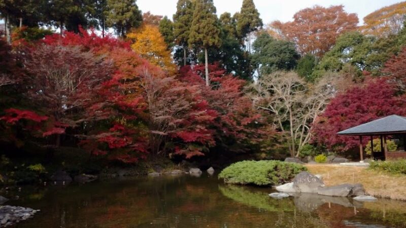 栃木県中央公園（栃木県）