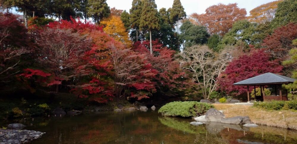 栃木県中央公園（栃木県）