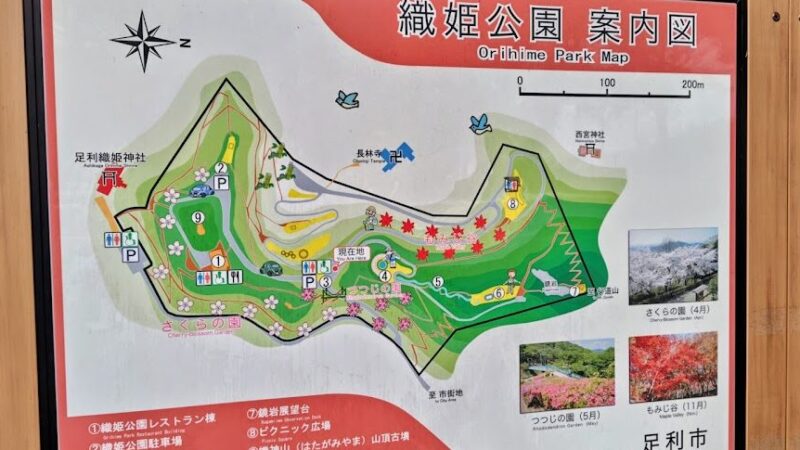 織姫公園もみじ谷（栃木県足利市）