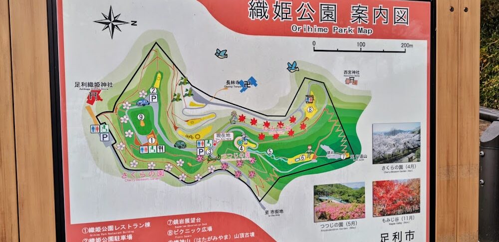織姫公園もみじ谷（栃木県足利市）