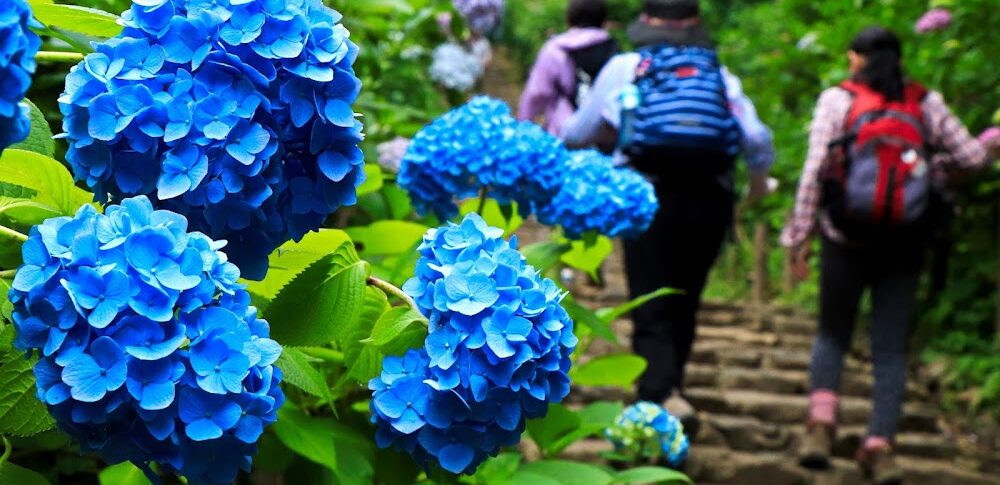 太平山（栃木県）