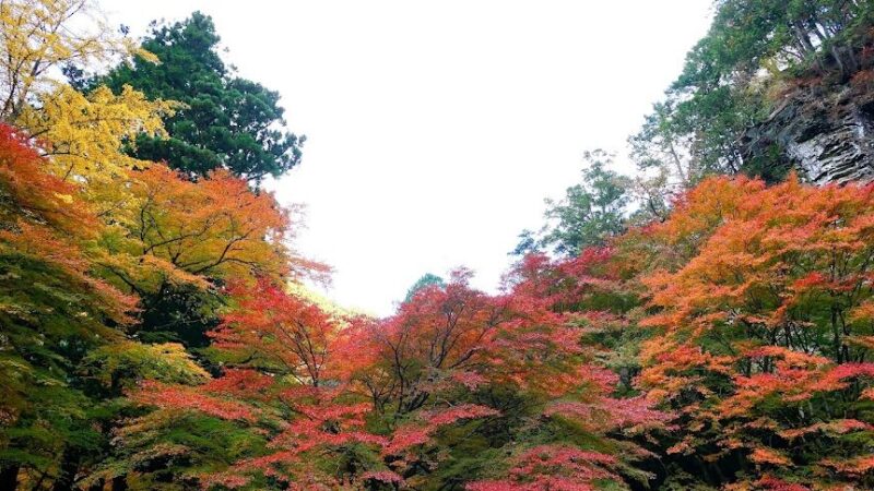蓬莱山（栃木県佐野市）