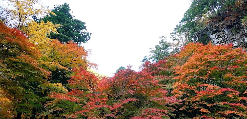 蓬莱山（栃木県佐野市）