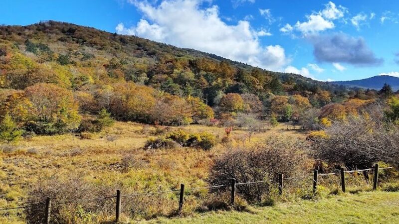 古峰ヶ原高原（栃木県）