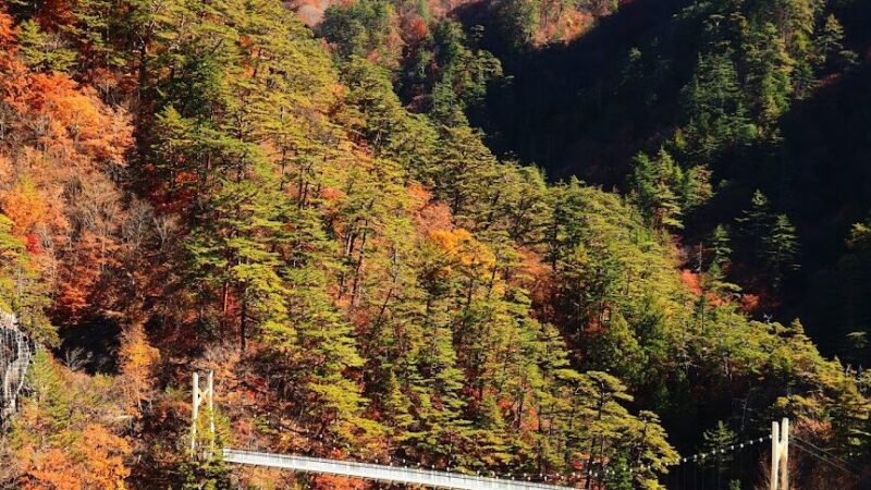 瀬戸合峡（栃木県）