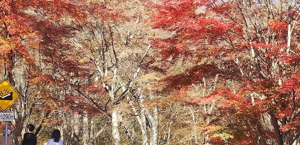 日塩もみじライン