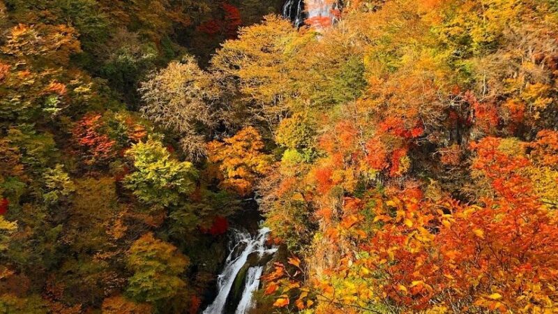 日光・霧降滝