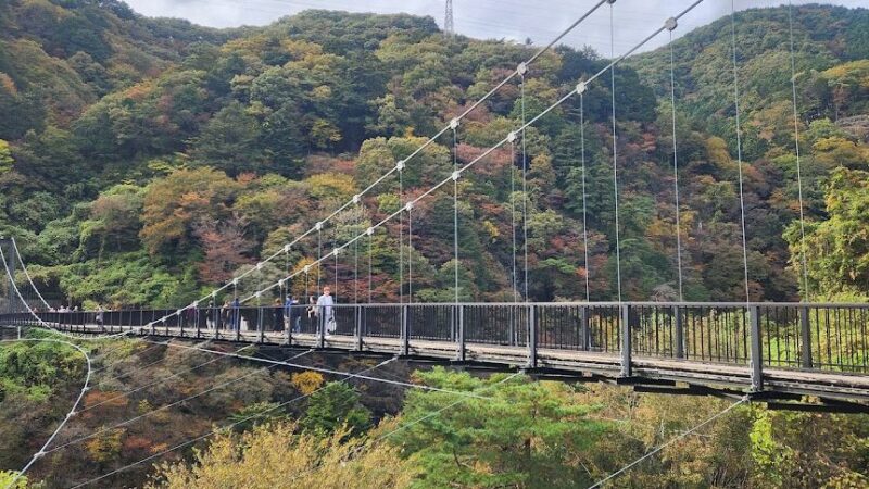 鬼怒楯岩大吊橋（栃木県）