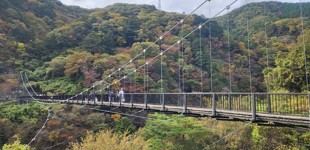 鬼怒楯岩大吊橋（栃木県）